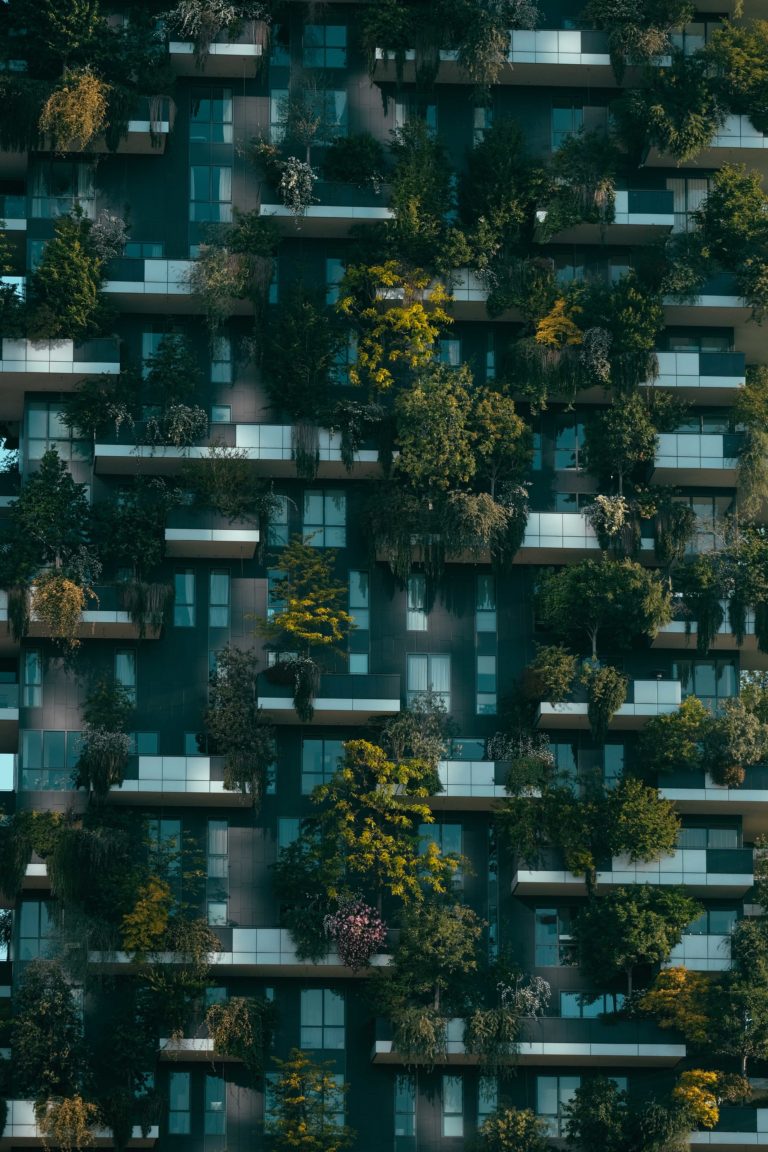 Structural Observations: What They Are and Why You Need Them